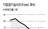 경기부양책 약발 안먹히나…제조업 체감경기‘꽁꽁’