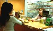 일본 애완동물 보험시장 3년새 두배 폭풍성장