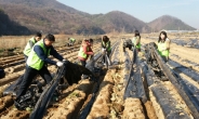 강원 영월서 농촌 봉사활동 펼친 한국광해관리공단 직원들…