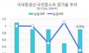 실질 국민소득 0.3% 증가에 그쳐, 2년 6개월래 최저