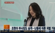 조현아 부사장, ‘땅콩 리턴' 논란 “기장, 뒤늦게 사태 파악?”