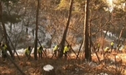 수원 장기없는 토막시신, ‘사춘기 지난 여성’…“예리한 흉기로 절단”