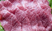 호주산 쇠고기 관세인하 효과 ‘0’…소비자가격 그대로?