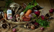 한국야쿠르트, 전 국민 체질개선을 위한 다양한 하루야채 제품 출시