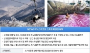 “올림픽 슬로프 미리 경험하세요” 휘닉스리조트 회원권 매년 시즌권 무료!