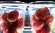 2월 제철음식…“삼치와 딸기 많이 먹어라”