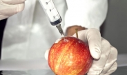 유전자변형 사과, 미 농식품부 허가 획득