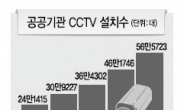 사고때 마다 구원등판 CCTV는 만병통치약?