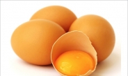달걀이 학생에게 좋은 이유, 기억력향상에 위장까지…가격 싼 ‘슈퍼푸드‘