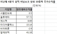 계속되는 코스닥랠리에 어닝쇼크 종목도 好好