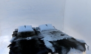 스웨덴 얼음 호텔, 엘사 성 뺨치는 ‘겨울왕국’…이용요금은?
