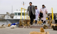 猫하다, 묘해…日 고양이 섬 ‘화제’