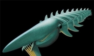 5억 년 전 바다 생명체 복원, 정체는 ‘이상한 새우’…길이만 2m