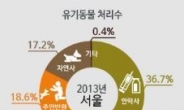 반려동물 서울서만 한해 1만1400마리 버려져