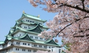엔저에 벚꽃 구경…일본 여행 예약 폭주