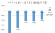 초저금리에 뭉칫돈 해외 주식형 펀드로 ‘고고’…이달에만 3000억 유입