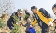 은평구, 편백나무로 치유의 숲 만든다