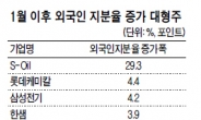 대형株만 사는 외국인들