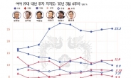 김무성 지지율 18.6%가 한계?