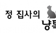 [정 집사의 냥톡]발톱은 사냥도구 이자 균형추 역할…깎아줄땐 간식 보상(?)하면 효과적