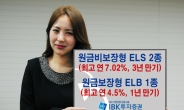 IBK투자증권, 연 7.02% 월지급식 ELS 등 3종 공모