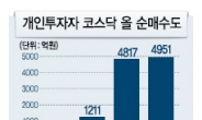 개인, 코스닥 올 1조 질렀다