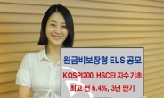 IBK투자證, 연 6.4% 수익 원금비보장 ELS 공모