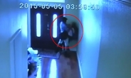 [영상] 13세 소녀 강간하려던 男, CCTV 공개…충격