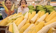 [포토]이마트에서 맛보는 여름철 영양간식 햇옥수수