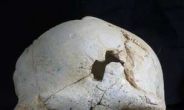 인류 최초 추정 ‘살인 희생자’ 두개골 발견