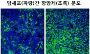 삼양바이오팜, 美 종양 침투촉진 기술 도입