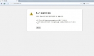 北 주요 사이트, 사이버 공격에 또다시 '먹통'