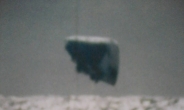 40년 전 북극에서 찍은 UFO…미군 알고 있다?