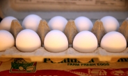 ‘계란 많이 먹어도…콜레스테롤 수치에 영향없다’