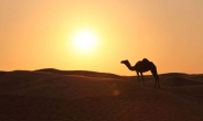 [궁금하면 질문]세계에서 가장 큰 사막은 어디?