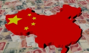 중국 경제, 하반기 불안한 출발