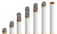 “내년 담배세수 12조6000억, 작년보다 2배 껑충”