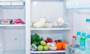 [리얼푸드]냉장고를 안전하게 유지하는 법