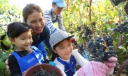 삼성, ‘글로벌 자원봉사 축제’ 개최…“전세계 38개국서 임직원 17만명 참여”