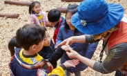 양천구, 신정산 계남공원 내 4,500공간에 아이들을 위한 유아숲 체험장 조성