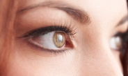 라식-라섹으로 인한 각막 손상 막으려면, 눈 염증에 좋은 음식이 필수