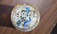 해산물 먹어도 될까?…플라스틱에 오염된 해산물