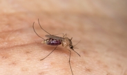 ‘지카 바이러스’의 공습…美 아칸소주, 스위스에서도 감염 확인