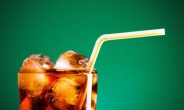 [리얼푸드] ‘가당稅‘ 가당찮다…인니 음료수업계 반발