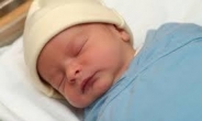 생후 3일된 아기, 집에서 애완견에 물려 사망