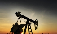 UAE 석유장관 “OPEC회원국 감산 준비 돼 있다”