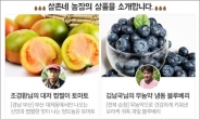 온라인몰서 과일ㆍ야채가게 인기
