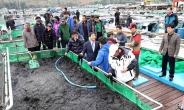 김밥용 물김 생산량 전국1위 고흥군, 120kg 자루당 17만원 상한가