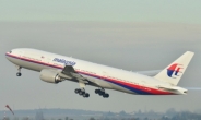 실종 말레이시아 항공기 잔해 남아공 해안서 발견