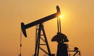 ‘석유수출국 왕좌’ 흔들리는 사우디…주요국서 시장점유율 하락